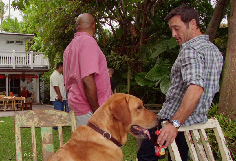 vlcsnap-2019-11-26-13h22m07s095