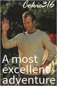 310 A Most Excellent Adventure