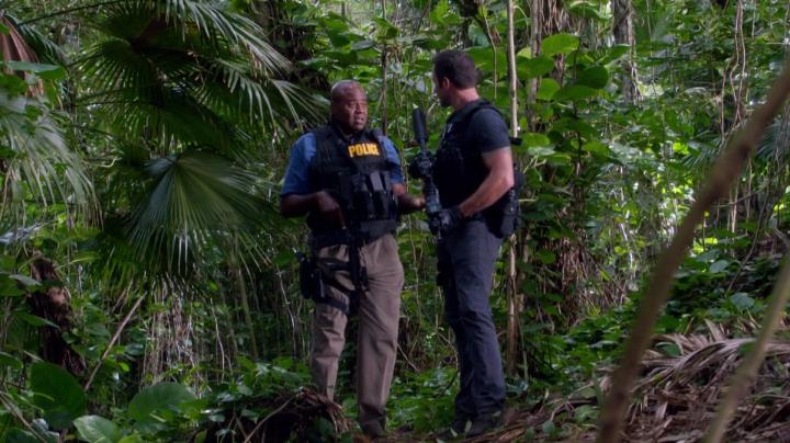 Hawaii 4-12[18-12-03]