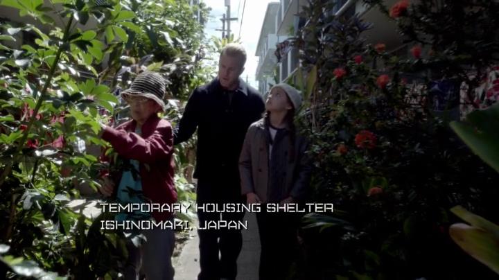 Hawaii 4-11[15-45-04]