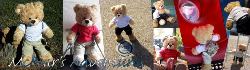 cropped-header-mcbear-able1