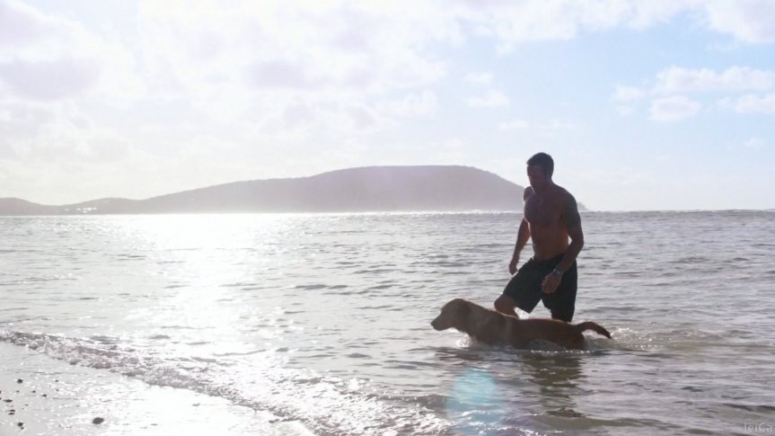 Ashampoo_Snap_2017.11.13_16h26m01s_004_