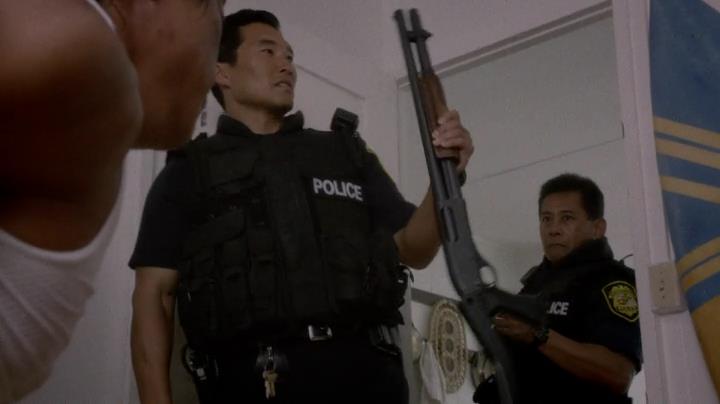 Hawaii 4-13[13-22-20]